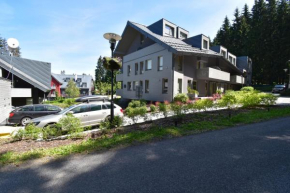 Resident Harrachov - Apartmá B304